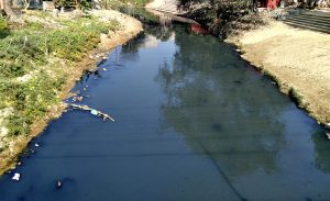 फाइल फाेटाे